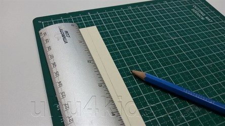 ������� ����-������ � ������� �����������